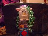 Furby enjoys Xmas