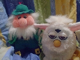 Furby enjoys the Irish hospitality