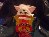 Furby eats out