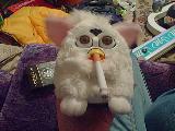 Furby growing up